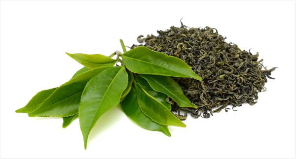 فروش عمده چایی سبز در بهترین فروشگاه