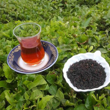 بهترین عرضه کننده چای ایرانی اصل 