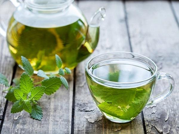 فروشندگان ممتاز انواع چای پونه کوهی درجه یک
