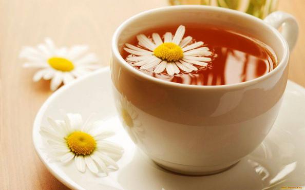 خرید آسان چای بابونه شیرازی با قیمتی استثنایی
