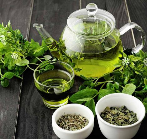 معیارهای انتخاب چای چکش سبز